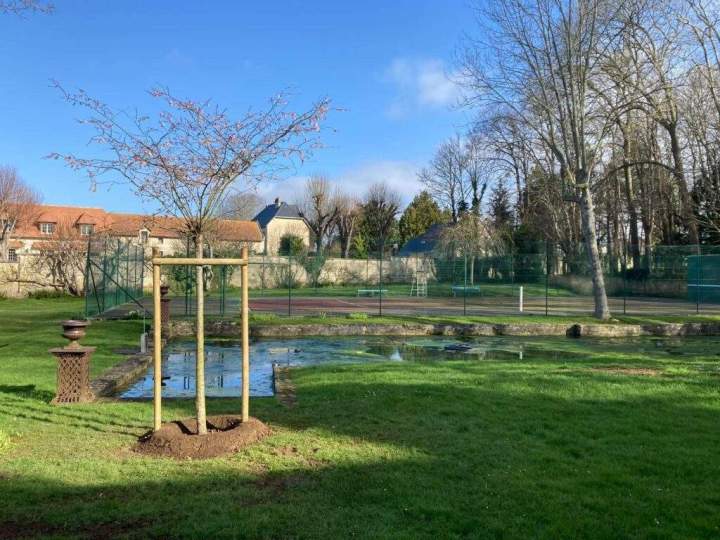 Aménagement de jardin Rots