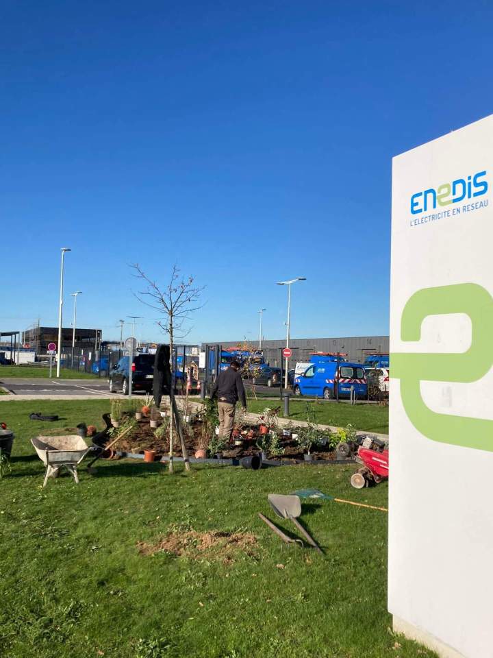 Plantation d'arbres dans un jardin public Rots