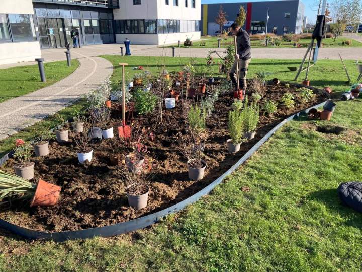 Plantation de fleurs dans un jardin d'entreprise Rots