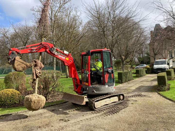 Arbre à planter Rots