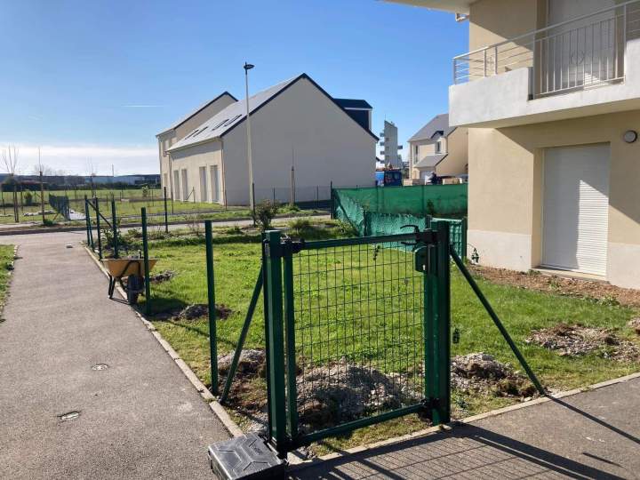 Gazon à entretenir Rots