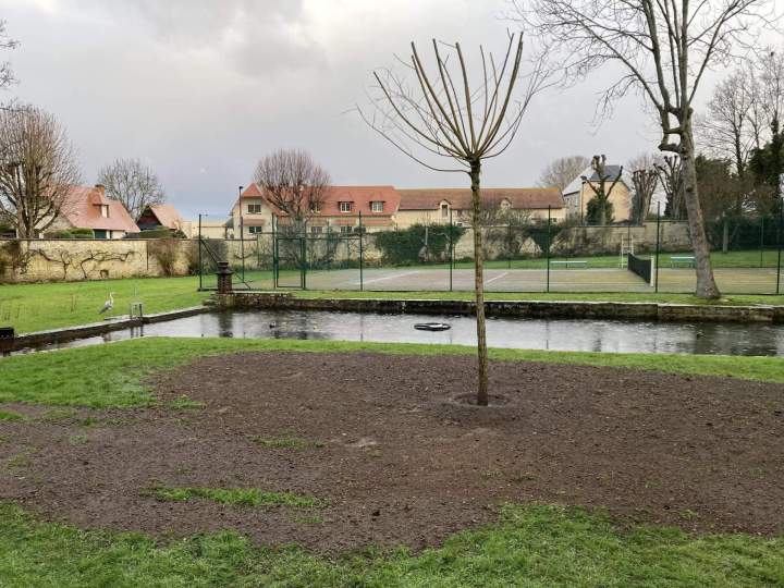 Plantation d'arbre Rots