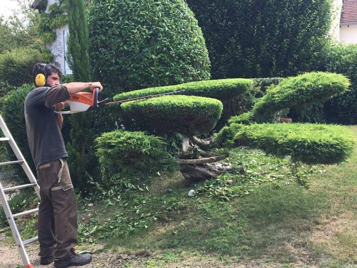 Sculpture de buissons en forme de topiaire Rots