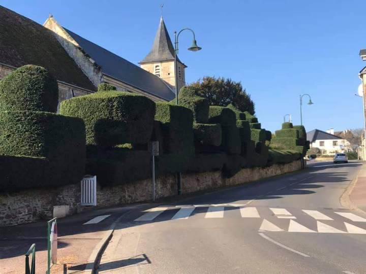 Ifs remarquablement taillés en art topiaire Rots