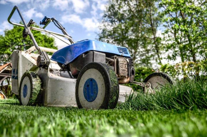 Soin régulier et maintenance de vos pelouses et massifs.