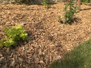 Pose de paillis de bois sur un jardin Rots