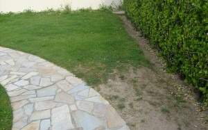 Remplacement gazon Rots