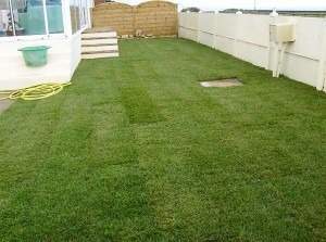 Jardin avec pelouse Rots