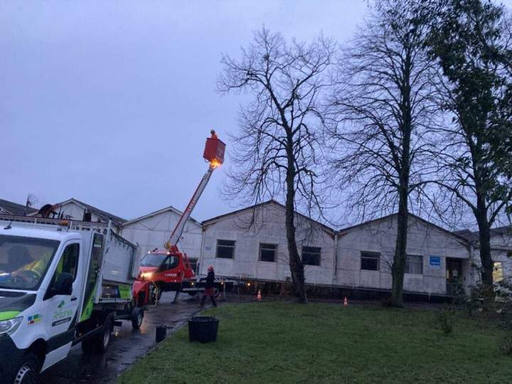 Travaux d'élagage avec nacelle Rots