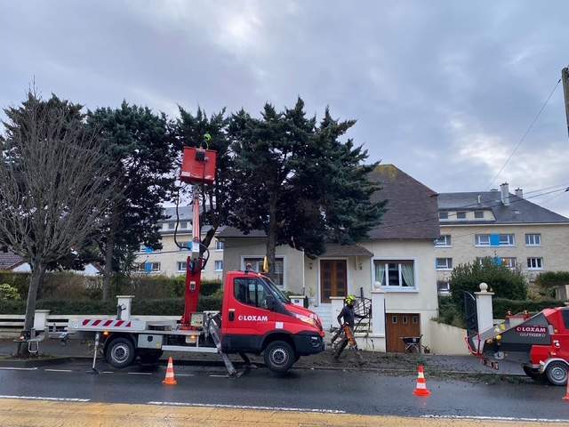 Élagage en cours Rots