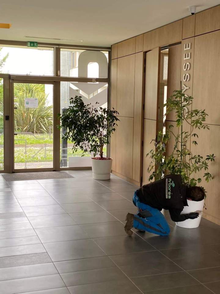 Aménagement hall Rots
