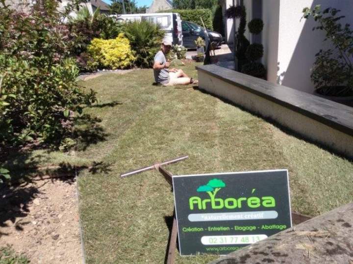 Travaux de réaménagement de jardin Rots