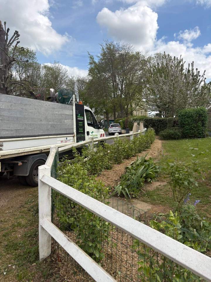 Création jardin Rots