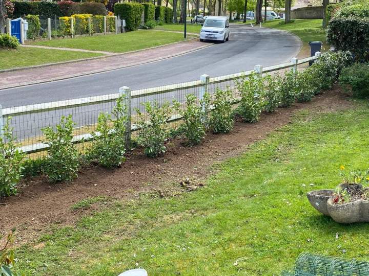 Plantation haies Rots