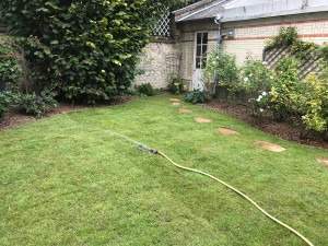 Aménagement de jardin Rots