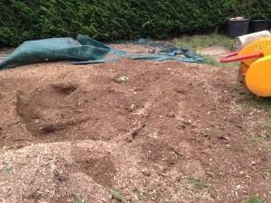 Travaux de dessouchage Rots