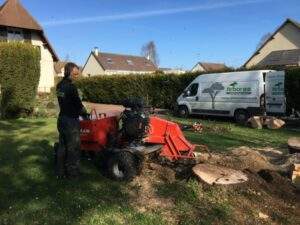 Rognage de souche Rots