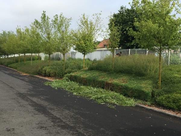 Débroussaillage Rots