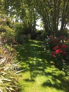 Jardin de style avec des massifs de fleurs colorées Rots