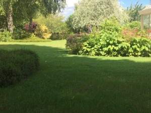 Jardin avec pelouse et végétation Rots
