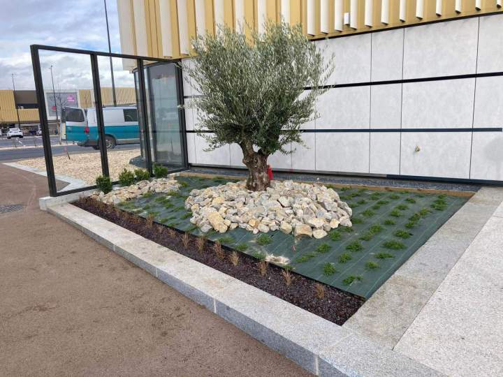 Décoration minérale Rots