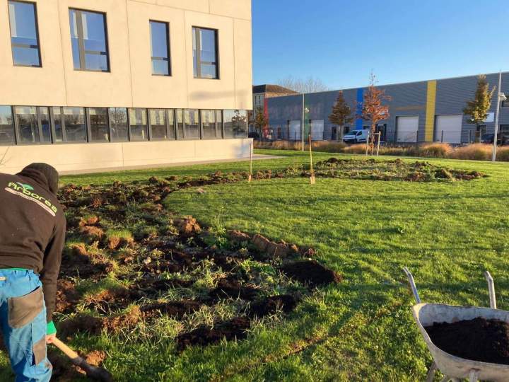 Création jardin Rots