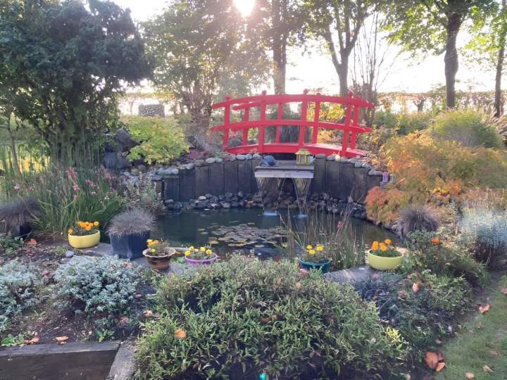 Jardin fleuri Rots