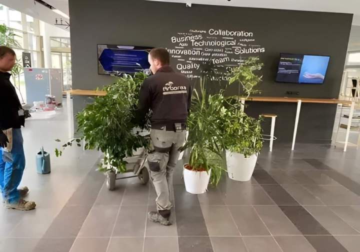 Agencement de pot de plantation Rots